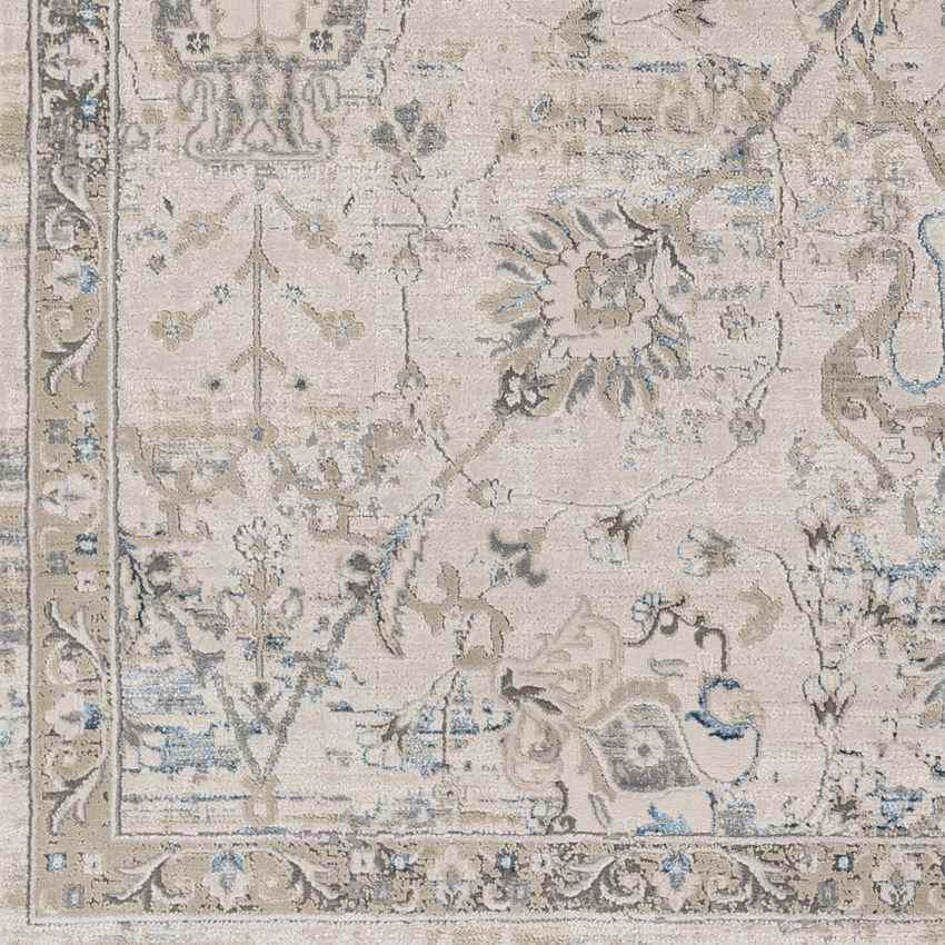 Makrasyka Traditional Beige Area Rug