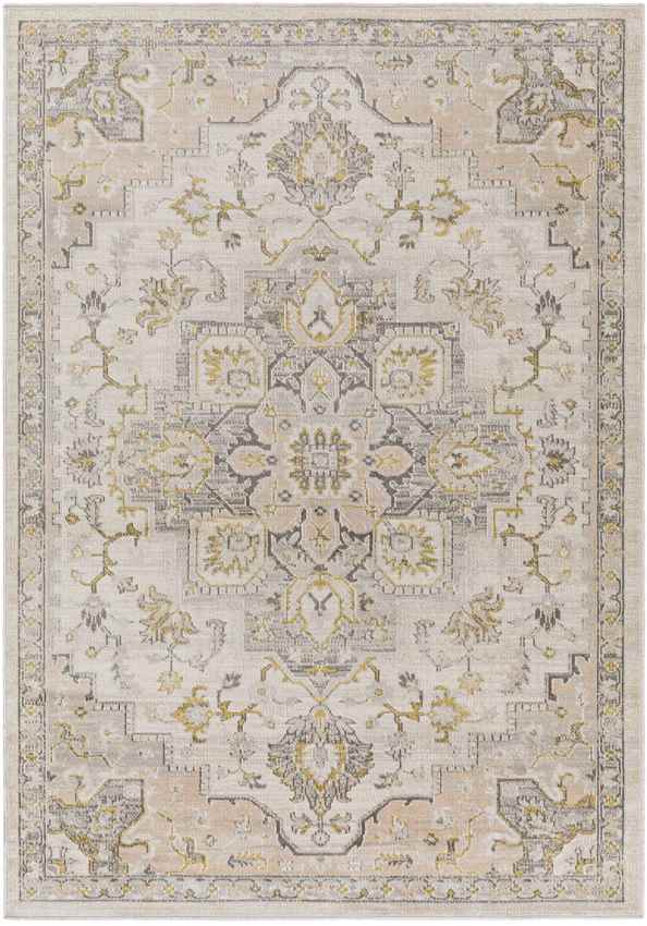 Deftera Traditional Gray Area Rug