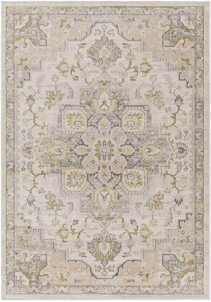 Deftera Traditional Gray Area Rug