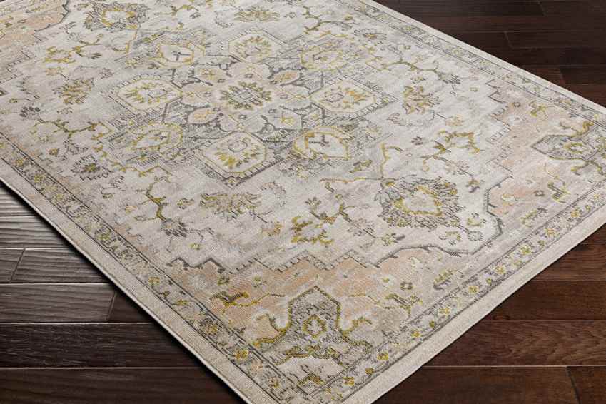 Deftera Traditional Gray Area Rug