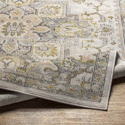 Deftera Traditional Gray Area Rug