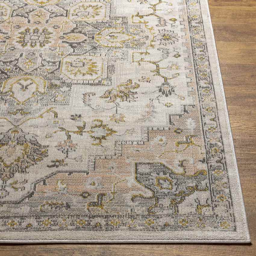 Deftera Traditional Gray Area Rug