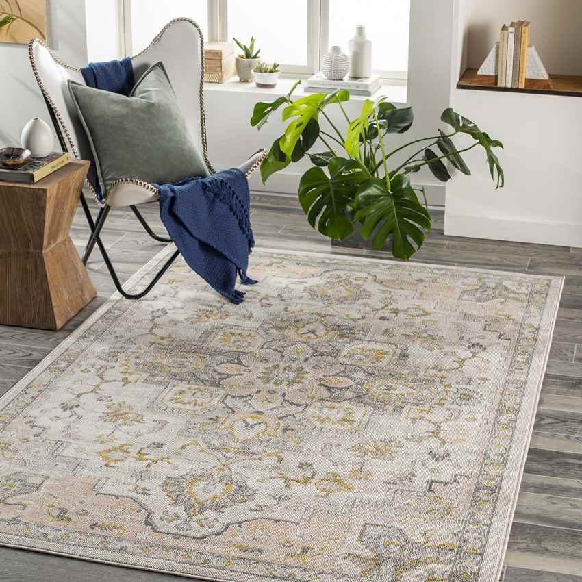 Deftera Traditional Gray Area Rug