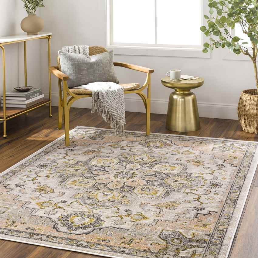 Deftera Traditional Gray Area Rug