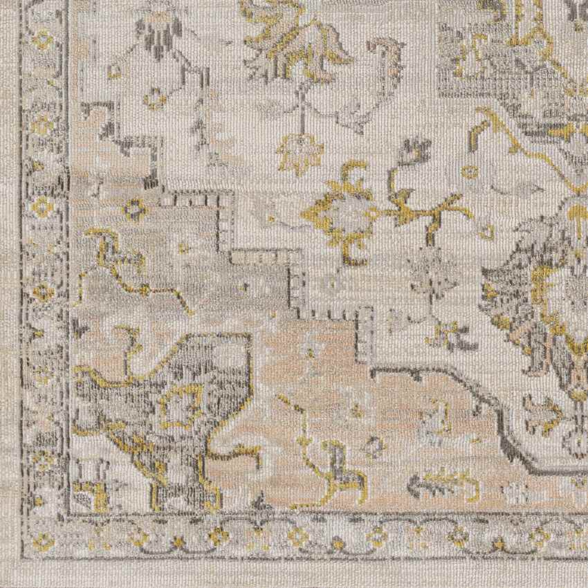 Deftera Traditional Gray Area Rug