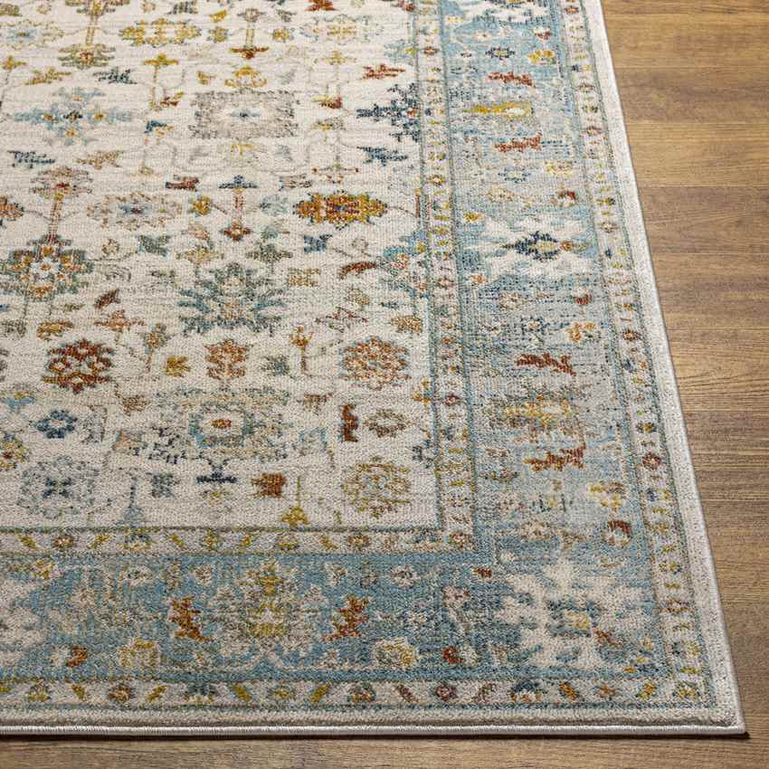 Dasaki Traditional Pale Blue Area Rug