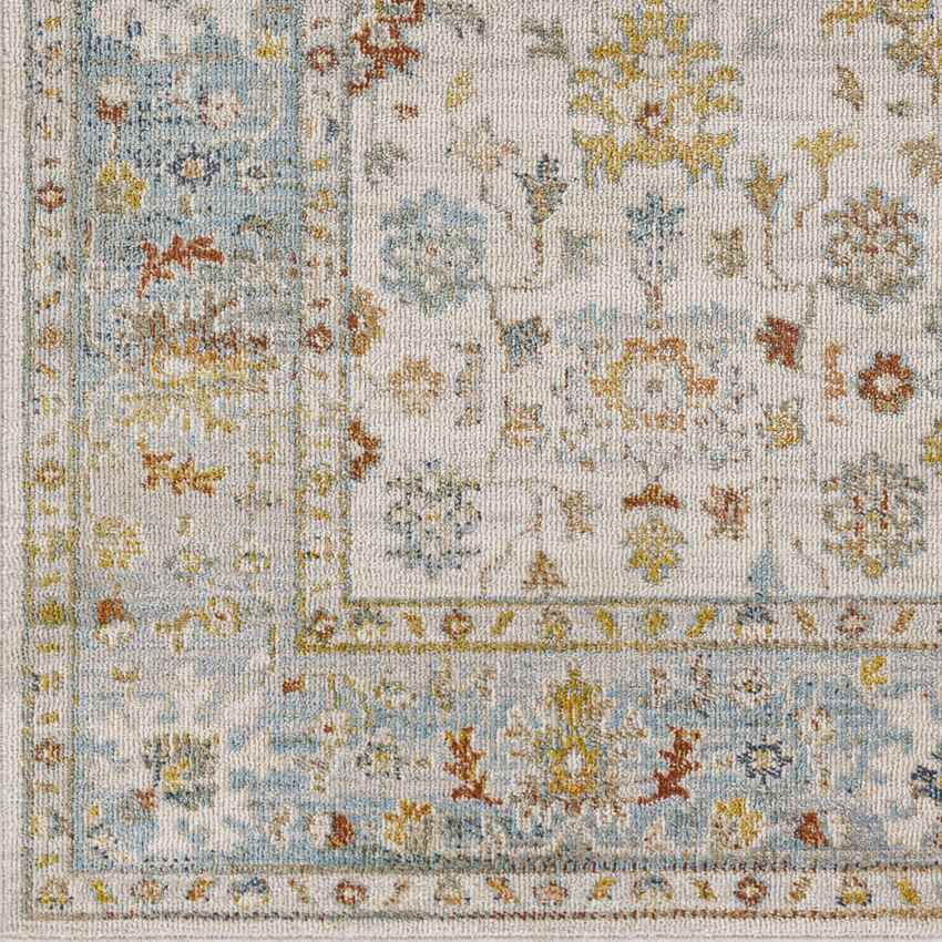 Dasaki Traditional Pale Blue Area Rug