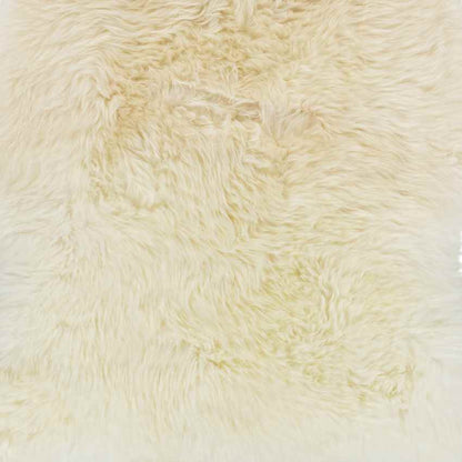 Kampou Modern Cream Area Rug