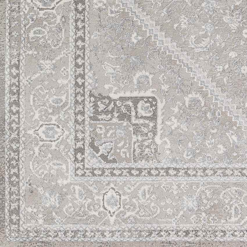 Assia Traditional Gray Area Rug
