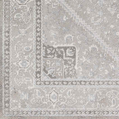 Assia Traditional Gray Area Rug