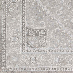 Assia Traditional Gray Area Rug