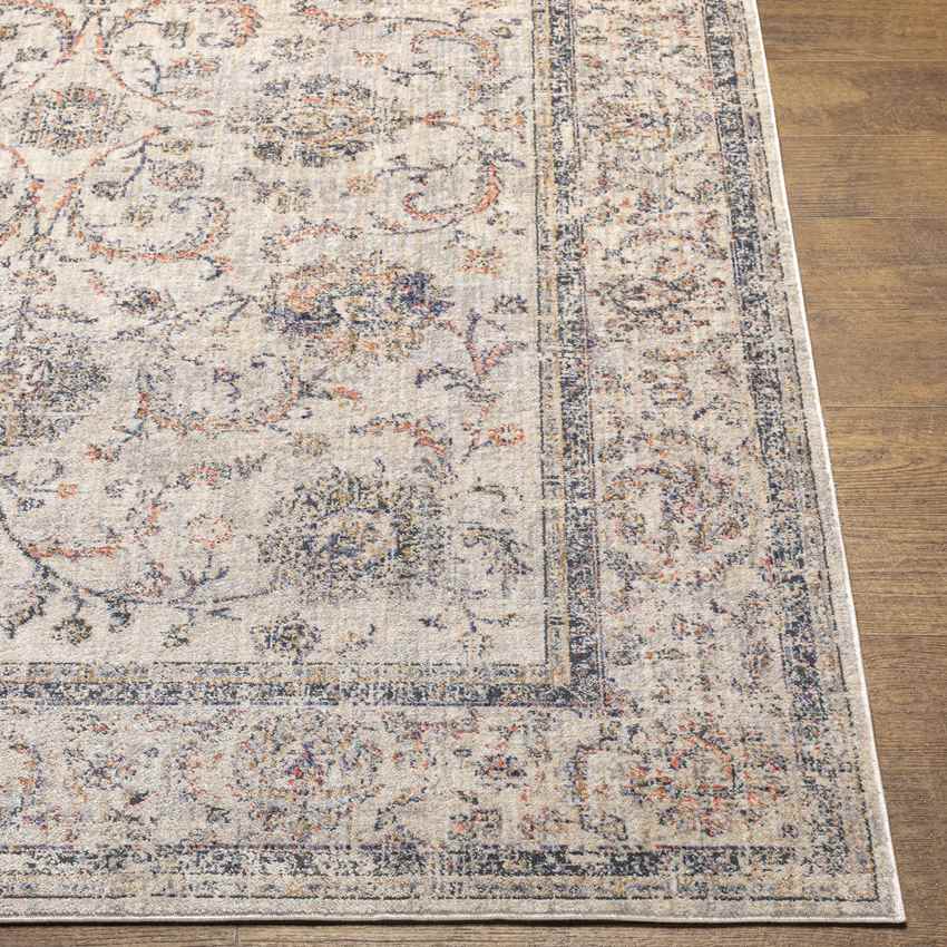 Vitsada Traditional Charcoal Area Rug