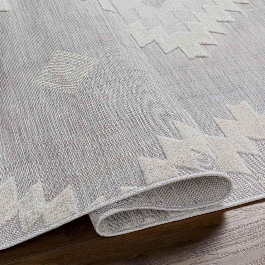 Veneind Rustic Gray Area Rug