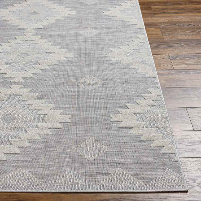 Veneind Rustic Gray Area Rug