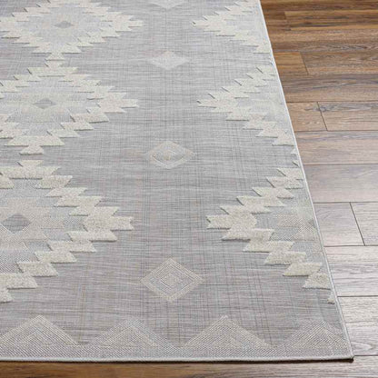 Veneind Rustic Gray Area Rug