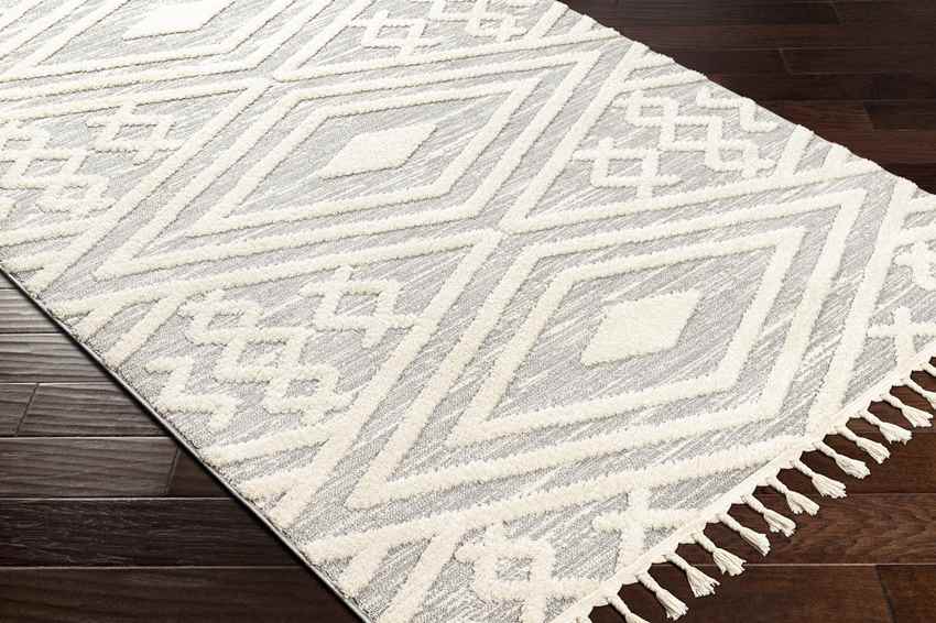 Pegeia Global Light Gray Area Rug