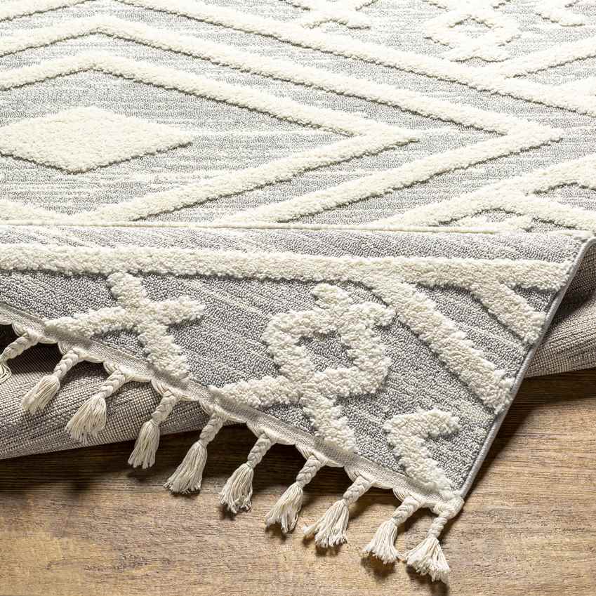 Pegeia Global Light Gray Area Rug
