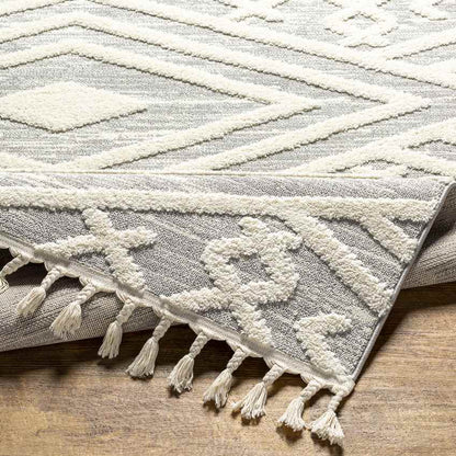 Pegeia Global Light Gray Area Rug