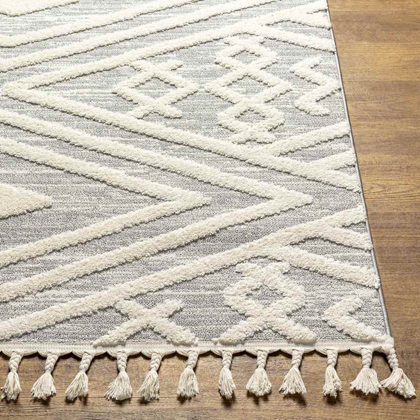 Pegeia Global Light Gray Area Rug