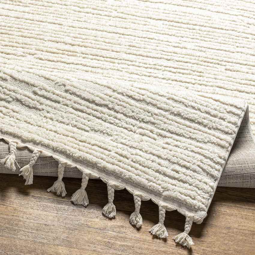 Flamoudi Global Cream Area Rug