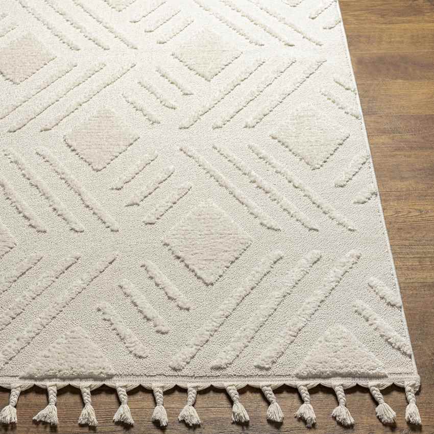 Lapithos Global Cream Area Rug