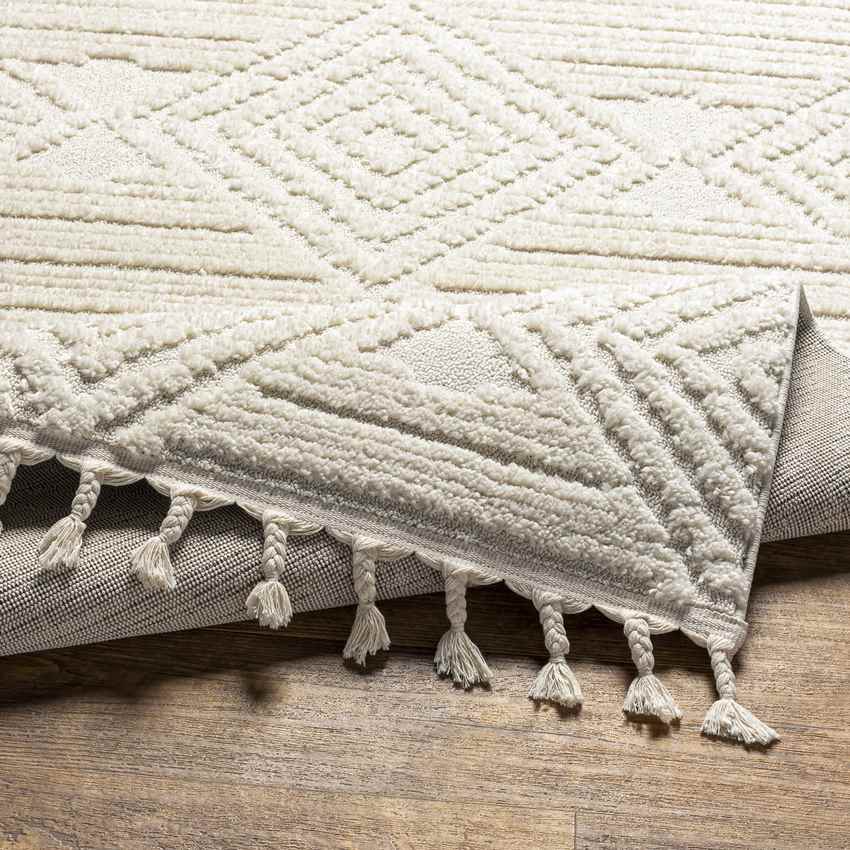 Arnadi Global Cream Area Rug