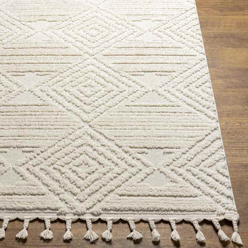 Arnadi Global Cream Area Rug