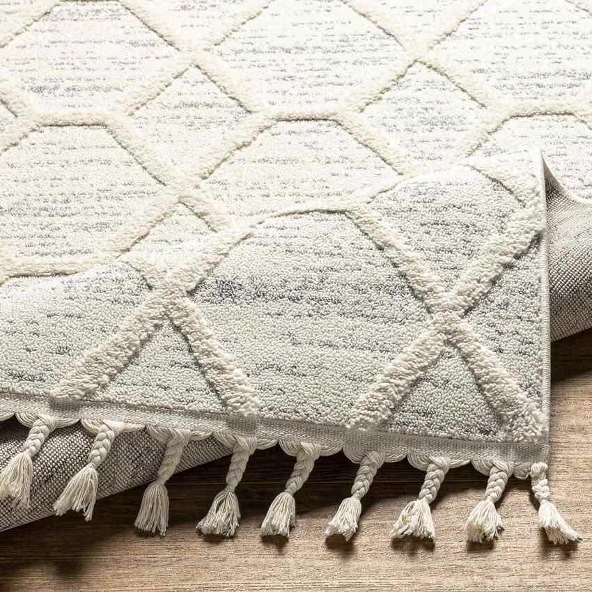 Mathia Modern Cream Area Rug