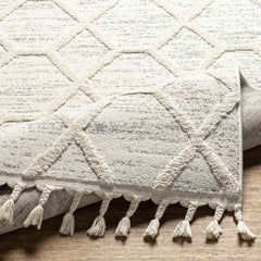 Mathia Modern Cream Area Rug