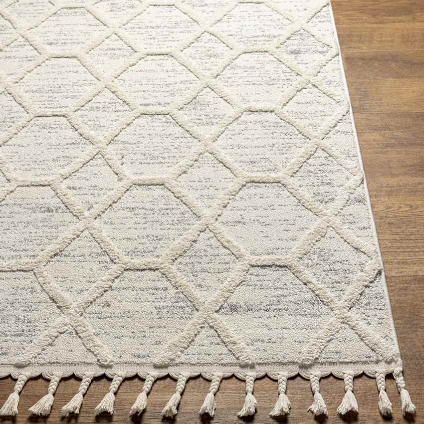 Mathia Modern Cream Area Rug