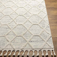 Mathia Modern Cream Area Rug