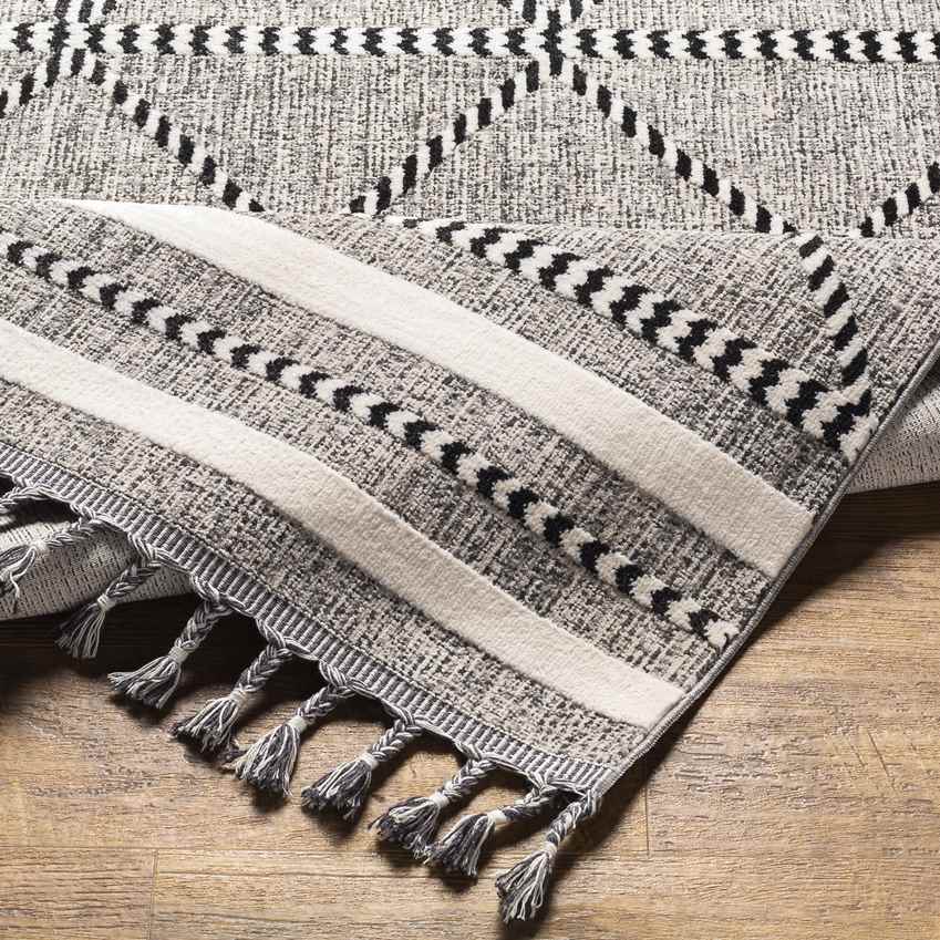 Kalopsida Global Medium Gray Area Rug