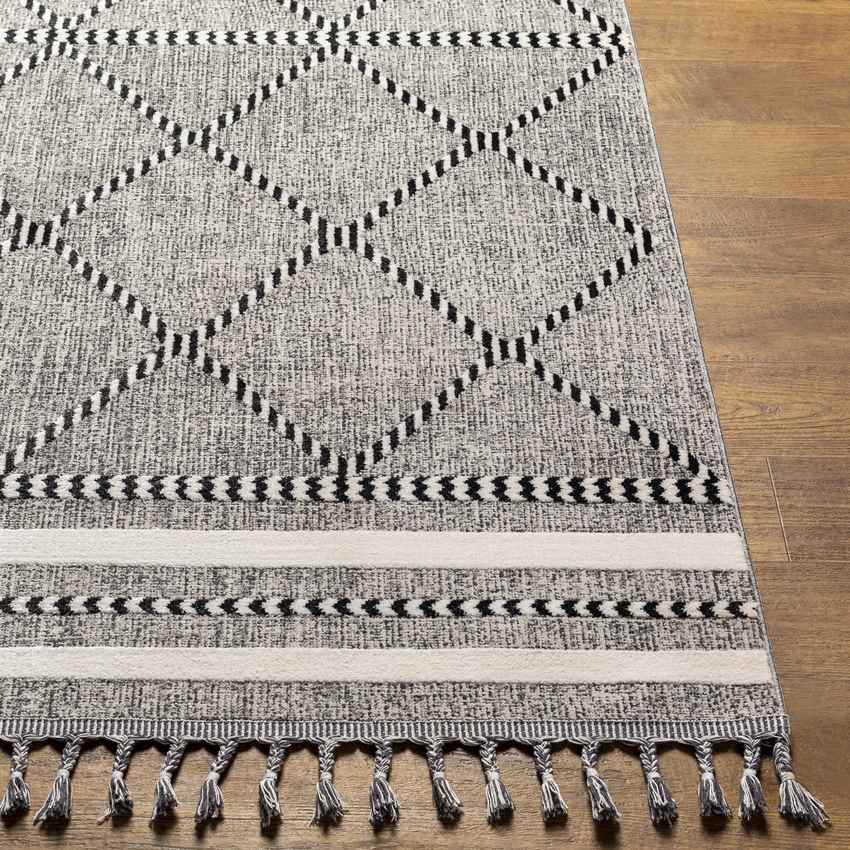 Kalopsida Global Medium Gray Area Rug