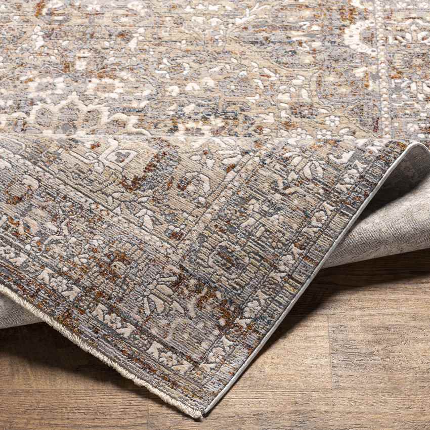Kioneli Traditional Taupe Area Rug