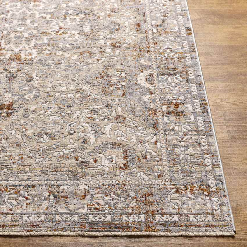 Kioneli Traditional Taupe Area Rug