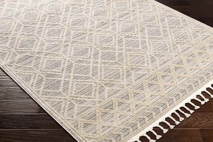 Beykoy Global Light Gray Area Rug