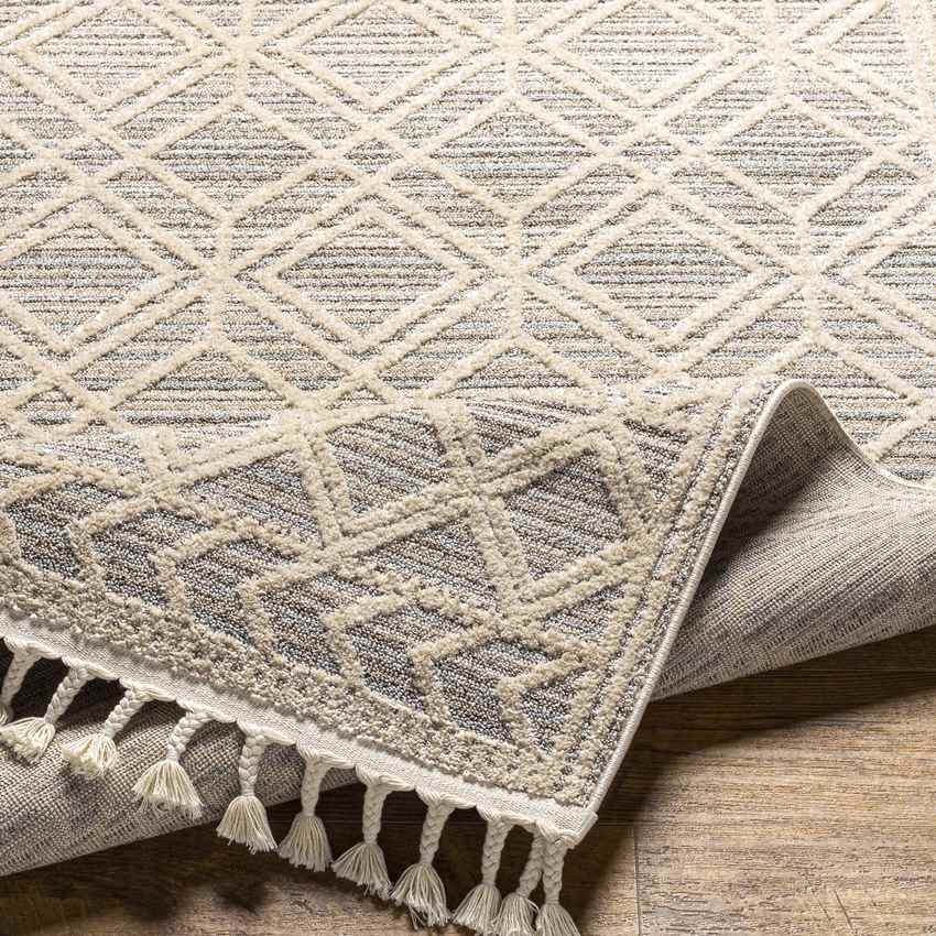 Beykoy Global Light Gray Area Rug