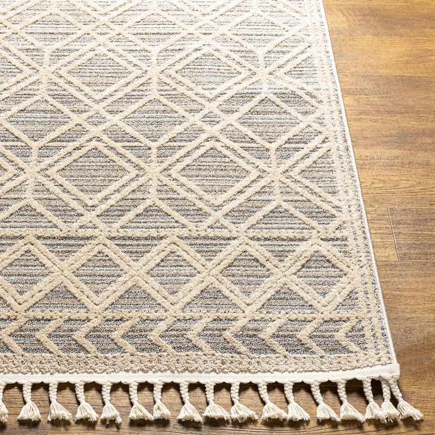 Beykoy Global Light Gray Area Rug