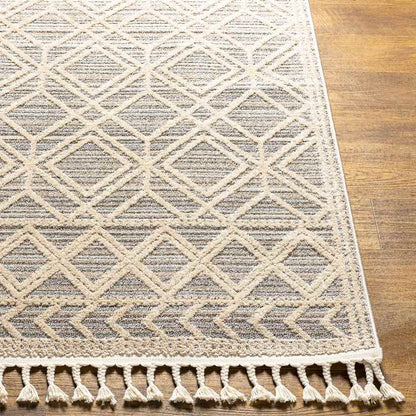 Beykoy Global Light Gray Area Rug