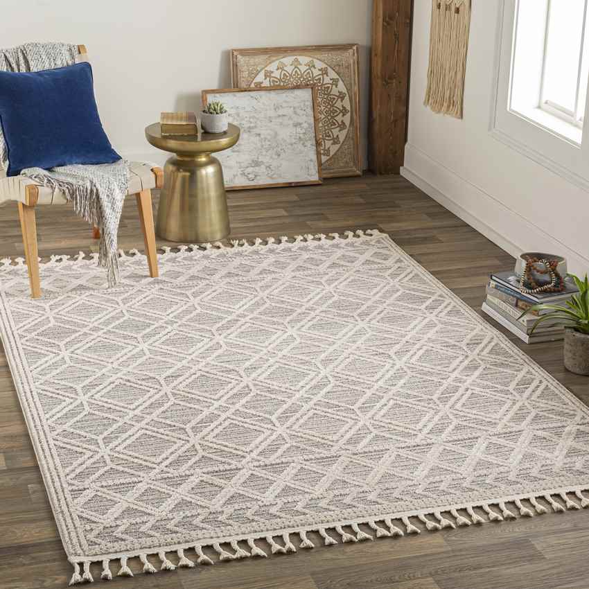 Beykoy Global Light Gray Area Rug