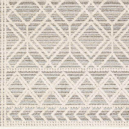 Beykoy Global Light Gray Area Rug