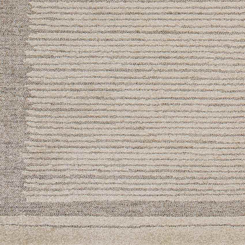 Orounta Modern Taupe Area Rug