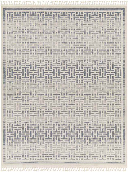 Asomatos Modern Navy Area Rug