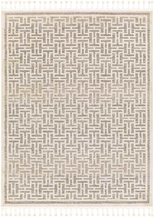 Asomatos Modern Gray Area Rug
