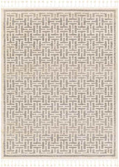 Asomatos Modern Gray Area Rug