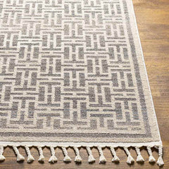 Asomatos Modern Gray Area Rug