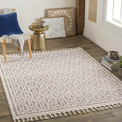 Asomatos Modern Gray Area Rug
