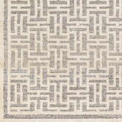 Asomatos Modern Gray Area Rug
