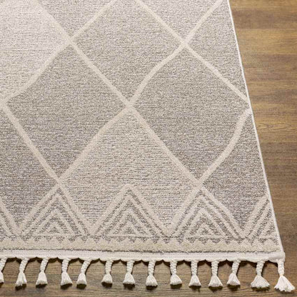 Kontemenos Global Light Gray Area Rug
