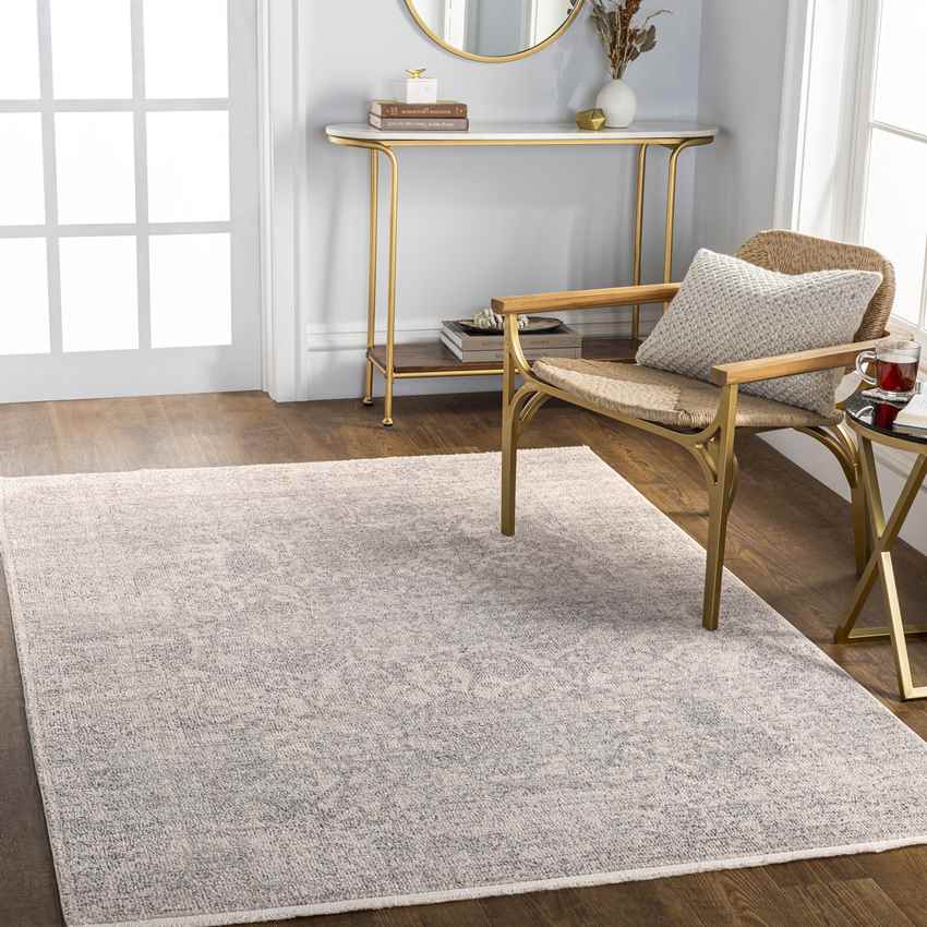 Thermia Traditional Gray Area Rug